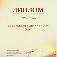 Диплом Белорусского форума «Energy Expo 2013»